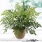 8-Pack – 28” Artificial Boston Fern Bushes – 7 Lush Sprays Each – Bulk Faux Plants for Events, Office, Patio, or Home – Realistic Greenery – No Watering Needed